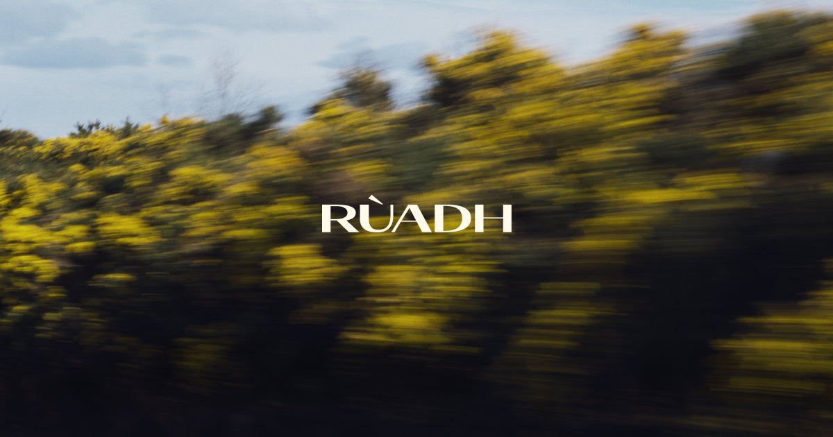 RUADH Team